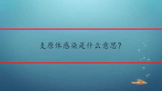 支原体感染是什么意思?