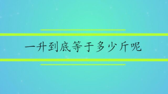 一升到底等于多少斤呢