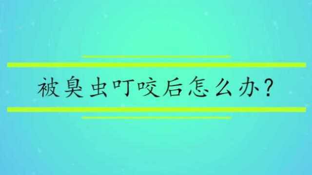 被臭虫叮咬后怎么办?