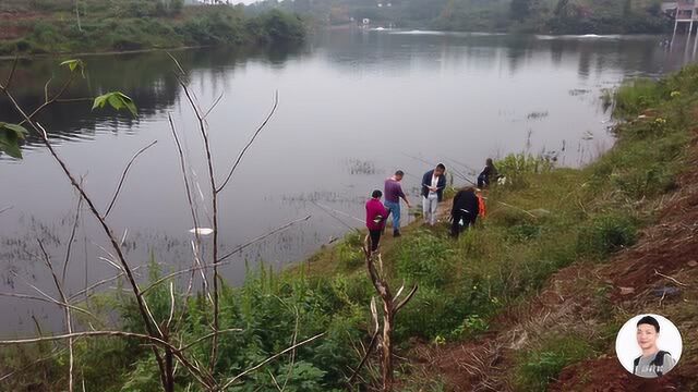 四川绵阳:吴家到金峰路上的鱼塘,鱼又多又大,但不放钓,真可惜