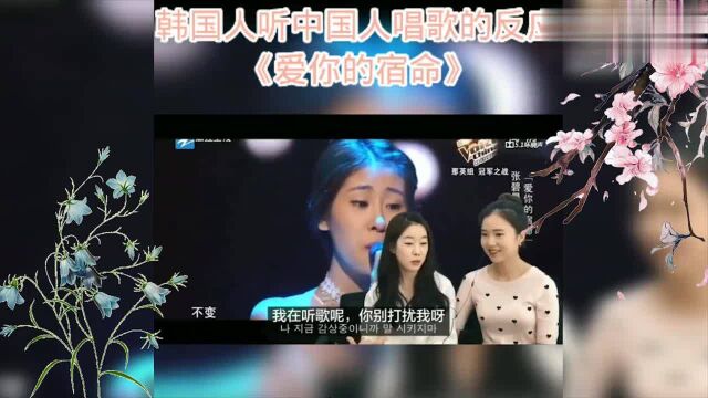 韩国人听中文歌的反应:张碧婷《爱你的宿命》,受到灵魂上的冲击