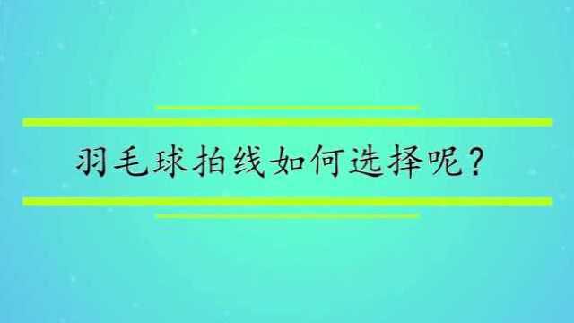 羽毛球拍线如何选择呢?