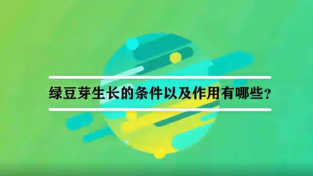 绿豆芽生长的条件以及作用有哪些?