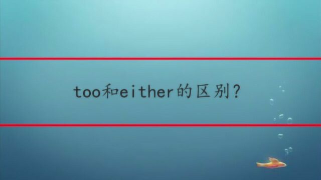 too和either的区别?