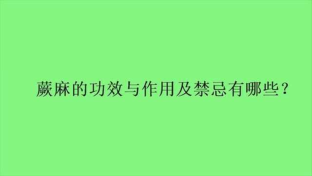 蕨麻的功效与作用及禁忌有哪些?