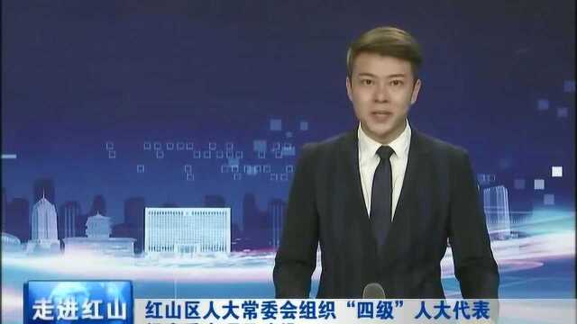 红山区人大常委会组织“四级”人大代表视察重点项目建设