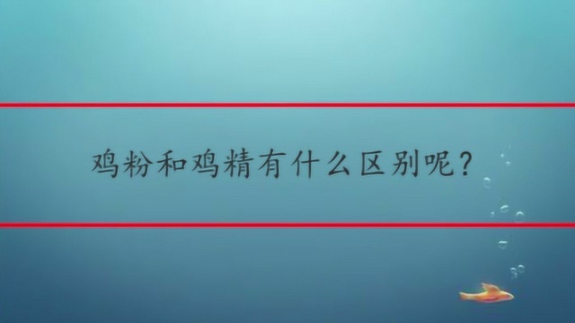 鸡粉和鸡精有什么区别呢?