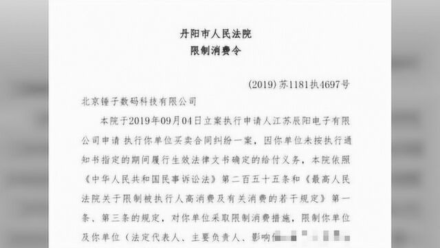 一代网红罗永浩成“老赖”,理想主义者靠“卖艺”还债