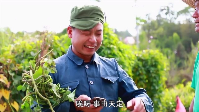 石根系列,投资大项目