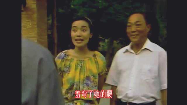 1989年电视剧《含羞草》同名主题曲,翁倩玉演唱,淡雅而温柔