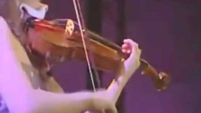 Hilary Hahn《夏日里的最后一朵玫瑰》好听!