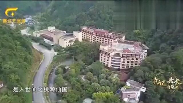 书记县长当导游:这金秀拥有世上极为丰富的原始森林资源