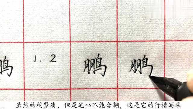 “鹏”字难写吗?这样书写,不仅能写好,还能让字富有精神!