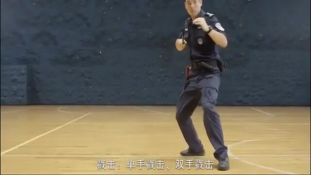 特警教你甩棍棍术实战技能!