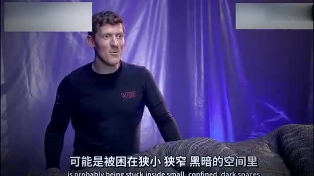 侏罗纪世界2,幕后故事揭秘,迅猛龙布鲁背后的男人