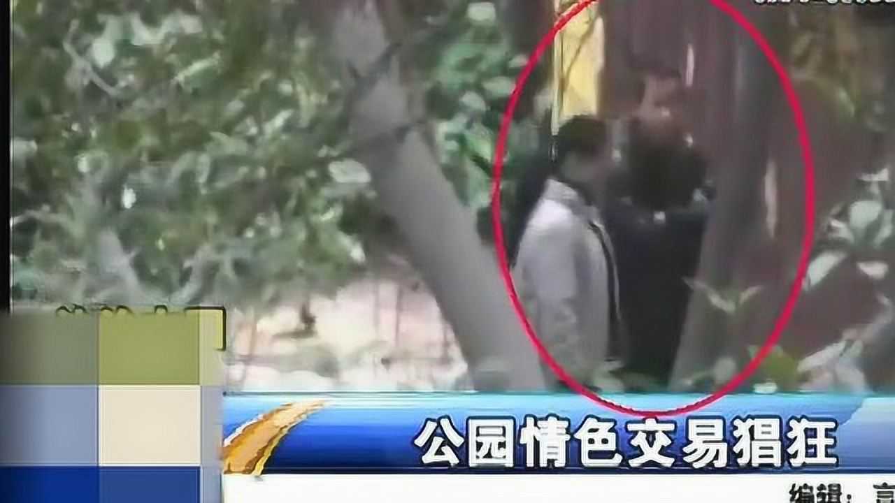 公园成为失足女聚集地隐蔽之处乱象丛生记者暗访视频曝光