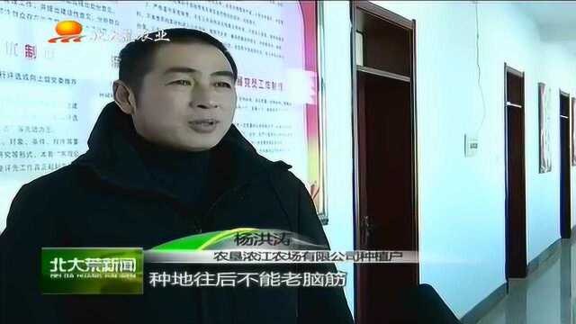 向标准要效益,农垦浓江农场多措并举提升现代农业水平