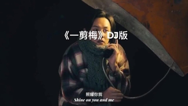 一剪梅DJ版,太好听了