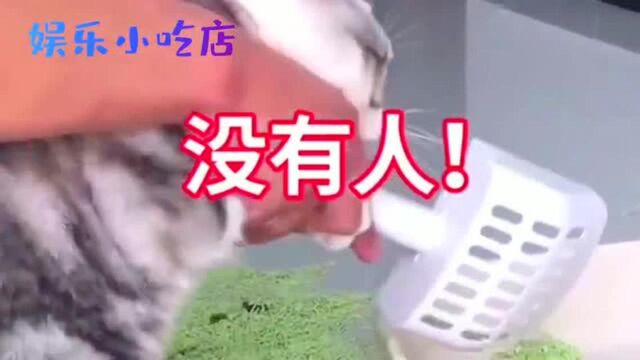 猫子:没办法,自己弄撒的猫砂盆,只能自己收拾