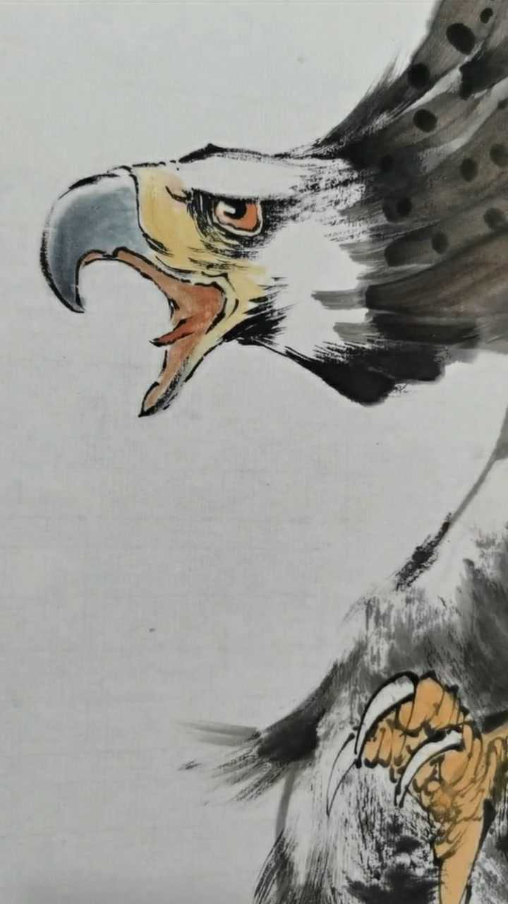 雄鹰展翅飞翱翔于天际非常壮观的一幅水墨画