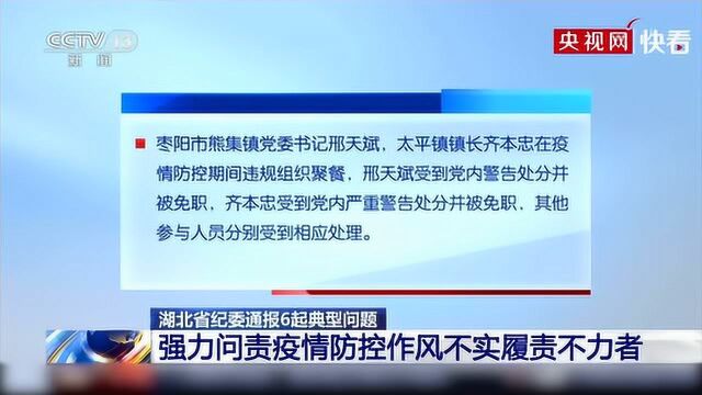 强力问责!湖北省纪委通报6起典型问题