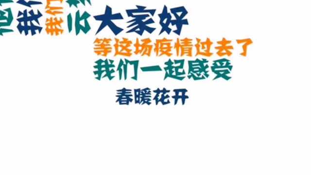 四川秀才村长霸气喊话“硬核“方言版太逗了