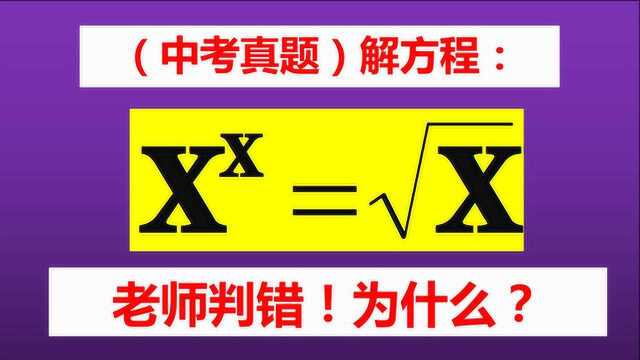 解方程x^x=√x,答案倒背如流,为什么老师说错误呢?