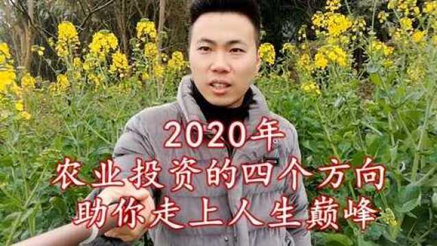 2020年农业投资风口