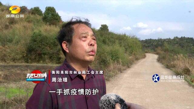 邵东:5100万元快速贷款 衡阳耒阳:免费发放500多万株油茶苗