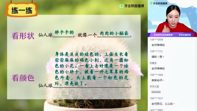 【语】习作:我的植物朋友(一)三年级王茹梦