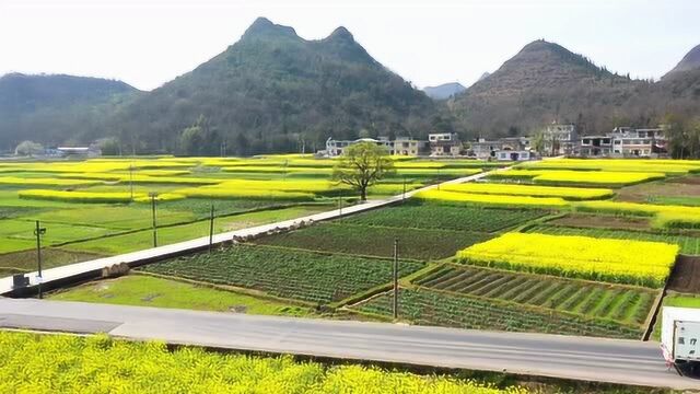 大地调色盘,春耕“编织”锦绣田园,,奏响春天的华章