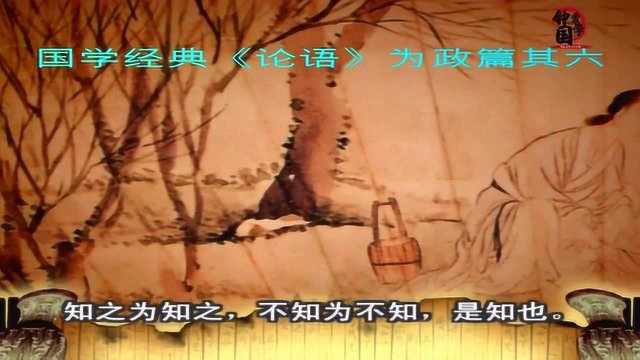 国学智慧:知之为知之,不知为不知,是知也