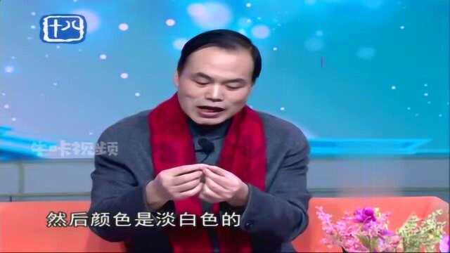 中药小常识:松贝是川贝里最好的品种,个头虽大但不超1公分