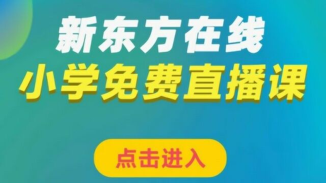 六年级语文8现代文阅读观点态度题