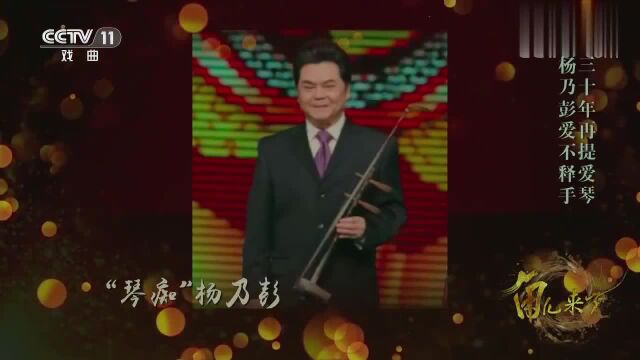 三十年再提爱琴,杨乃彭爱不释手,现场演奏露出金石之音!