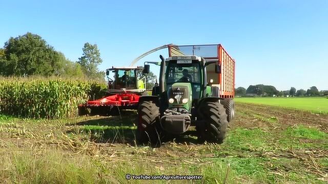 农业机械 荷兰农业 Fendt 714型收割玉米