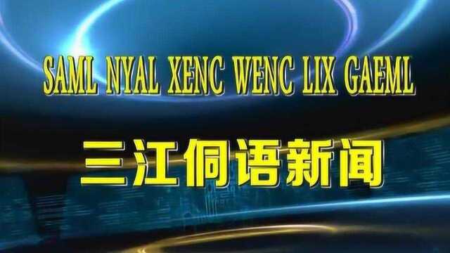 三江侗语新闻6月13日