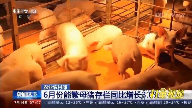 农业农村部:生猪生产恢复进度好于预期|央视网