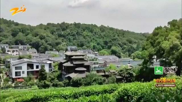 酷似“千与千寻”汤屋 西湖景区一木屋走红