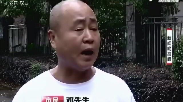 南昌:骚扰电话带来连环套路 信用卡没办成被骗一万块