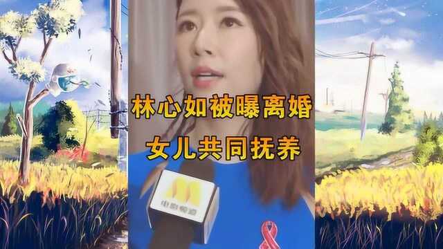 林心如被曝离婚,女儿共同抚养,夫妻俩牵手压马路破谣言!