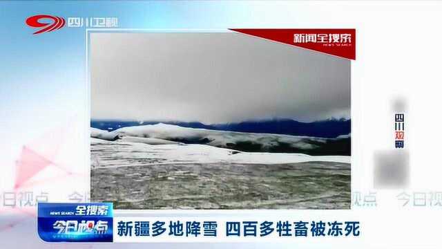 7月竟下大雪!新疆多地竟牲畜被冻死