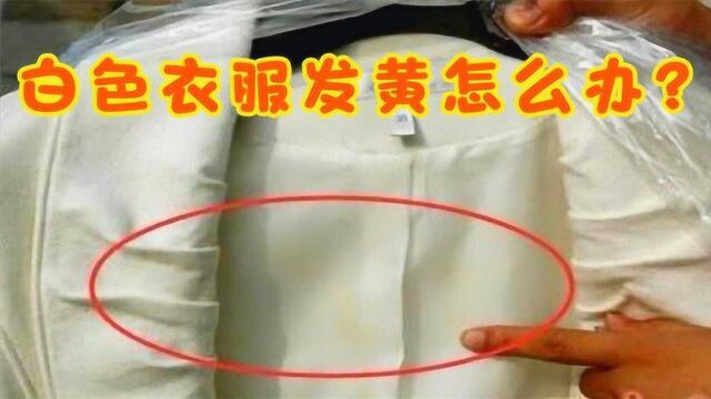 白色衣服发黄别发愁,用它泡一泡,发黄衣服焕然如新,早学早受益