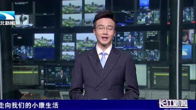 奇!十堰郧西“西瓜之乡”里有个“西瓜大王”