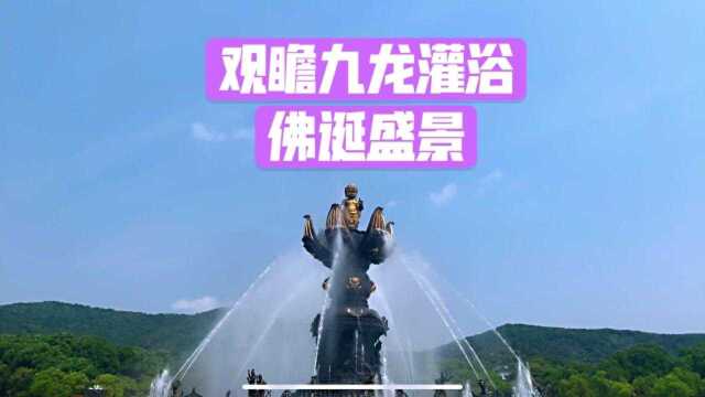 灵山胜境九龙灌浴表演,观瞻佛诞盛景,圆满灵山之行!