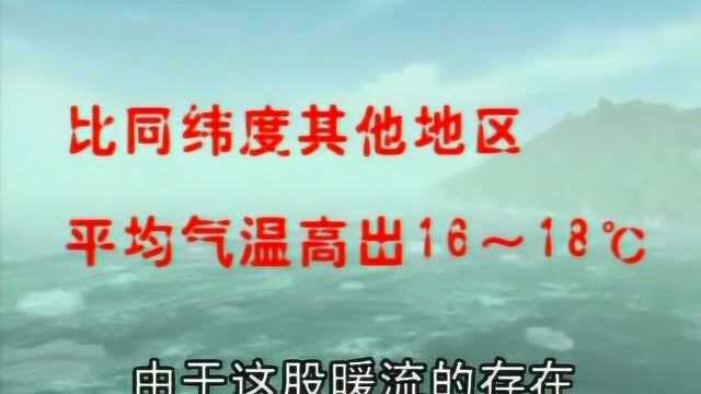 海洋世界:大西洋上的巨河湾流