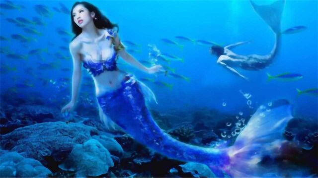 水族馆养了“美人鱼”,游客都被引来参观,画面美得移不开眼!