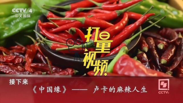 卢卡的麻辣人生(1):意大利小伙为何成为麻辣专业户|央视网