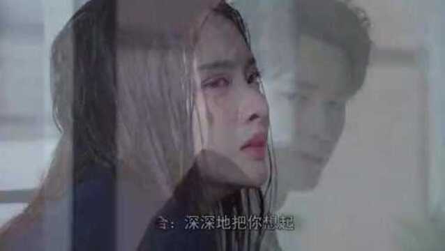 毛宁杨钰莹一曲《心雨》爆火网络,旋律优美,勾起无数人的回忆