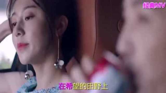 一首经典歌曲《在希望的田野上》歌词唯美,满满的甜蜜回忆